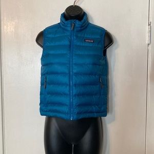 Patagonia Turquoise Teal Blue Puffer Vest